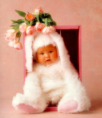 b&eacute;b&eacute; rose